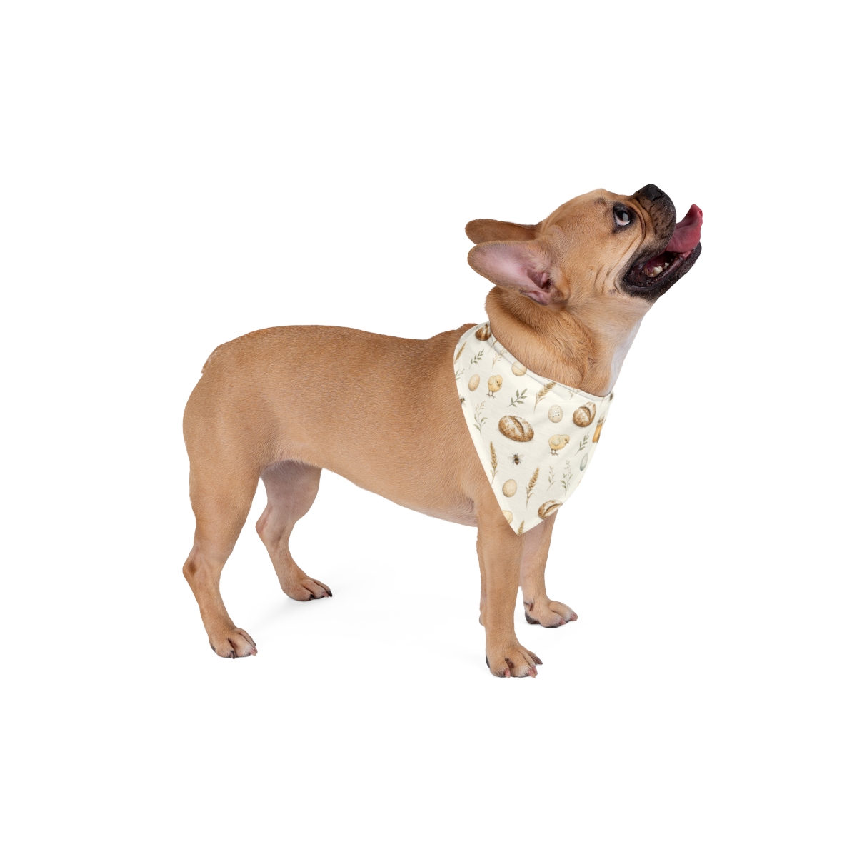 Pet wearing a rustic harvest bread-pattern bandana